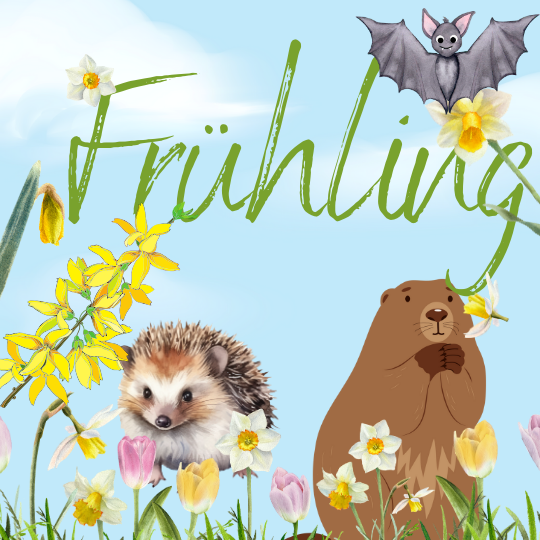 Read more about the article Der Frühling