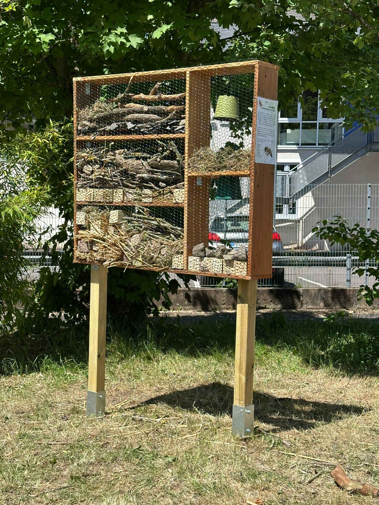 Read more about the article Die Veränderungen an unserer Schule seit den Projekttagen